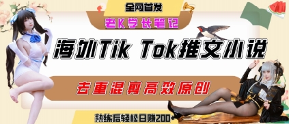 海外tiktok小说推文暴力项目，高停留率，高转化率，上手后一天搞顿饭钱不是问题-零界教育
