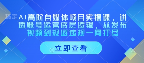 AI高阶自媒体项目实操课，讲透账号运营底层逻辑，从发布视频到规避违规一网打尽-零界教育