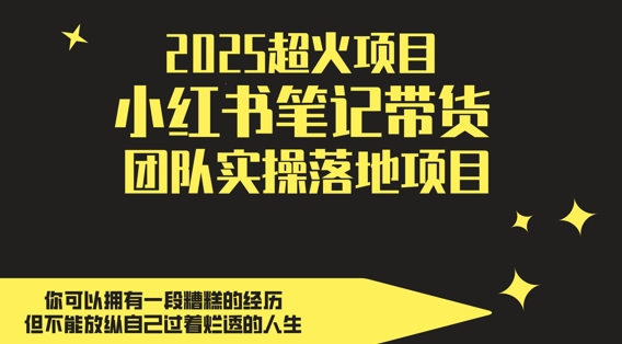 2025超火项目，副业最佳选择，小红书笔记带货团队实操落地项目，，轻松日入5张-零界教育