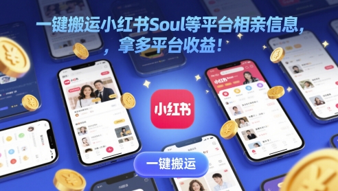 一键搬运小红书Soul等平台相亲信息，拿多平台收益!-零界教育