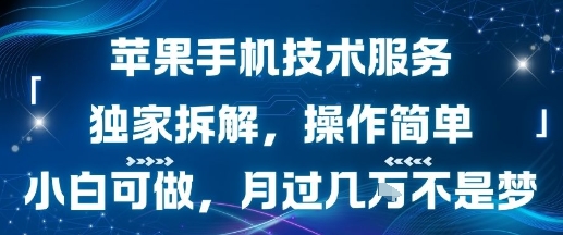 苹果手机技术服务，独家拆解，操作简单，小白可做，月过1W不是梦-零界教育