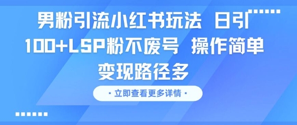 男粉引流小红书玩法，日引100+LSP粉不废号，操作简单，变现路径多-零界教育
