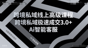 跨境私域线上高级课程，跨境私域极速成交3.0+Ai智能客服-零界教育