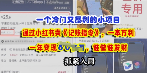 一个冷门需求，通过小红书卖《记账指令》，一本万利，谁做谁发，抓紧入局-零界教育