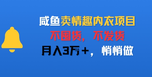 咸鱼卖情趣内衣项目，不囤货，不发货，月入3W+，悄悄做-零界教育