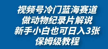 视频号冷门蓝海赛道，做动物纪录片解说，新手小白也日入3张，保姆级教程-零界教育