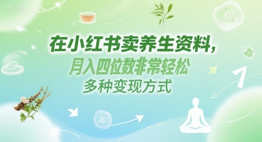 在小红书卖养生资料，月入四位数非常轻松，多种变现方式-零界教育