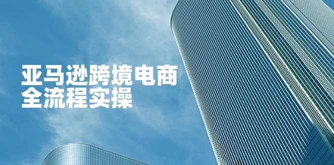 （14252期）亚马逊跨境电商全流程实操，教你从零开始，掌握店铺运营与广告技巧-零界教育