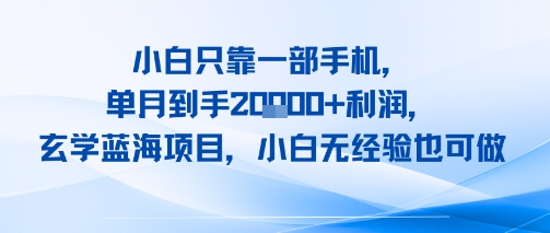 小白只靠一部手机，单月到手2W+利润，玄学蓝海项目，小白无经验也可做-零界教育