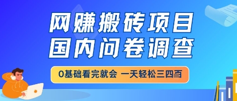 网创搬砖项目，国内问卷调查，小白轻松上手，一天三四张的也不难，干就完了【揭秘】-零界教育