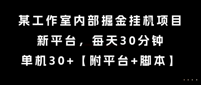 某工作室内部掘金挂G项目，新平台，每天30分钟，单机30+【揭秘】-零界教育