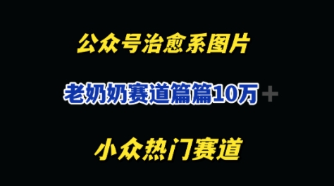 公众号老奶奶治愈系流量主，篇篇10W+-零界教育