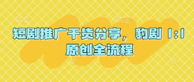 短剧推广干货分享，豹剧 1:1原创全流程-零界教育