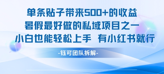 单条贴子带来5张的收益，暑假最好做的私域项目之一，小白也能轻松上手，有小红书就行-零界教育
