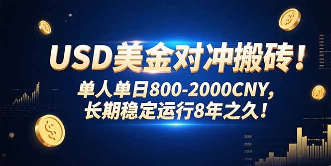（15551期）USD美金对冲搬砖!单人单日800-2000CNY，长期稳定运行8年之久!-零界教育