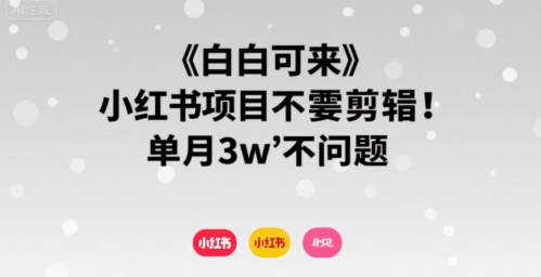 小白可来 小红书项目不需要剪辑 单月3w不是问题-零界教育
