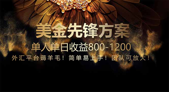 （14761期）免费技术！小众赛道！一年布局抵三年努力，每日800+-零界教育