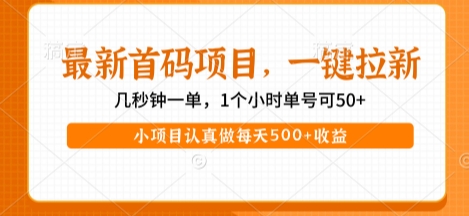 最新首码项目，操作最简单，收益高，一键拉新，1个小时单号可50+，小项目认真做每天5张+收益【揭秘】-零界教育