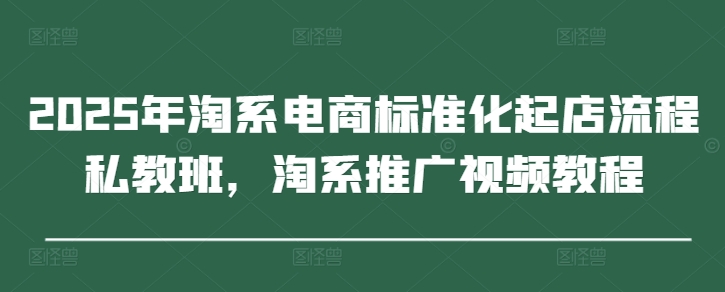 2025年淘系电商标准化起店流程私教班，淘系推广视频教程-零界教育
