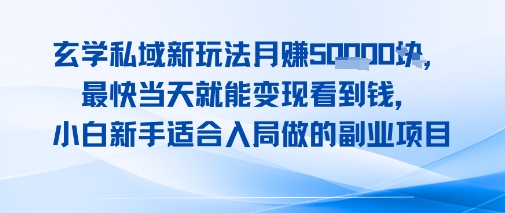 玄学私域新玩法月入1W+，最快当天就能变现看到米，小白新手适合入局做的副业项目-零界教育