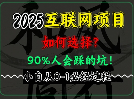 2025年互联网项目搞钱方法论，全是干货，肺腑之言，新手从0-1必经过程，边看边实操-零界教育