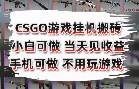 CSGO游戏挂G搬砖，小白纯手机即可操作，不用电脑打游戏，日入3张+，副业网创项目【揭秘】-零界教育
