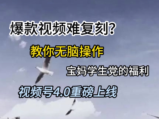 视频号4.0重磅上线，爆款视频难复刻？教你无脑操作宝妈学生党的福利【揭秘】-零界教育