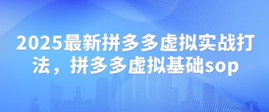 2025最新拼多多虚拟实战打法，拼多多虚拟基础sop-零界教育