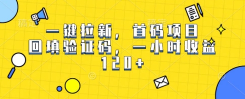 一键拉新，首码项目，回填验证码，一小时收益1张-零界教育