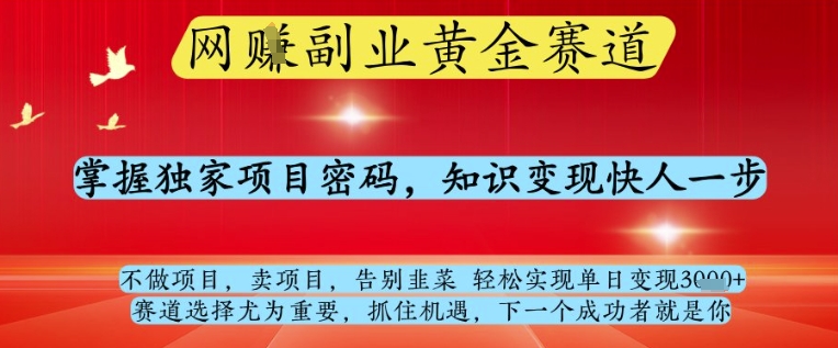 网创副业黄全赛道，掌握独家项目密码，知识变现快人一步，告别韭菜轻松实现单日变现1k+【揭秘】-零界教育
