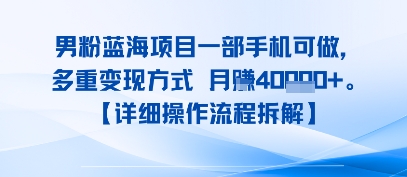 8月新男粉蓝海项目一部手机可做，多重变现方式 月入4W+【详细操作流程拆解】-零界教育