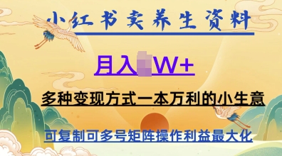 在小红书上卖养生资料，月入1w+，多种变现方式一本万利的小生意-零界教育