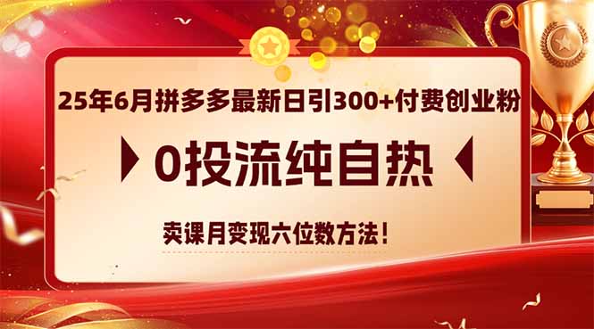 （14989期）25年6月拼多多最新日引300+付费创业粉，0投流纯自热 卖课月变现六位数方法-零界教育