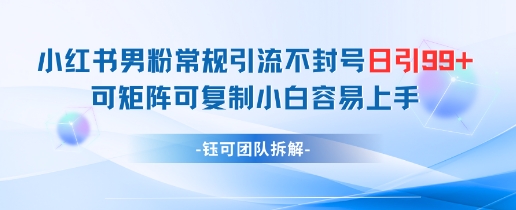 小红书男粉常规引流不封号日引99+变现简单 可矩阵可复制小白容易上手-零界教育