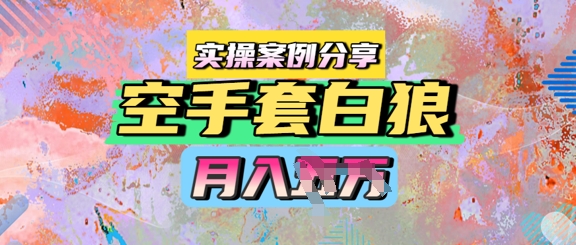 空手套白狼，月入过1W，实操案例分享-零界教育