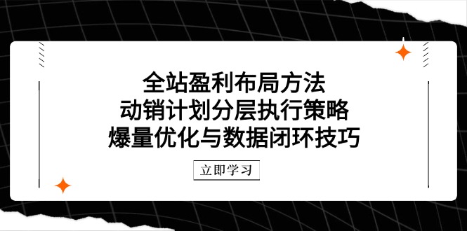 （14698期）全站盈利布局方法：动销计划分层执行策略，爆量优化与数据闭环技巧-零界教育