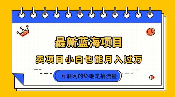 （14289期）2025年最新蓝海项目，卖项目小白也能月入过万-零界教育