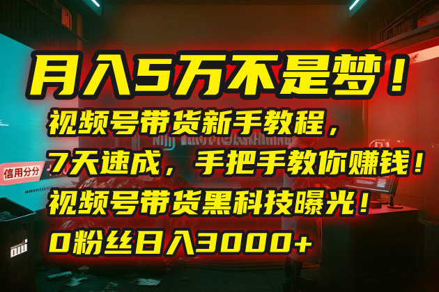 （15595期）月入5万不是梦！视频号带货新手教程，7天速成，手把手教你赚钱！视频号...-零界教育