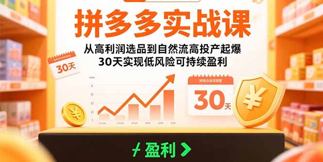 （15586期）拼多多实战课：从高利润选品到自然流高投产起爆 30天实现低风险可持续盈利-零界教育