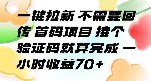 一键拉新 不需要回传 首码项目 接个验证码就算完成 一小时收益70+【揭秘】-零界教育