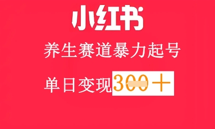小红书养生赛道，暴力起号，轻松日入3张+-零界教育