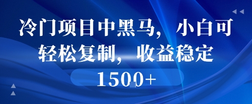 冷门项目中黑马，小白可轻松复制，收益稳定1.5k-零界教育