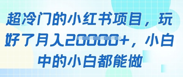 超冷门的小红书项目，玩好了月入过1w，小白中的小白都能做-零界教育