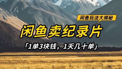闲鱼卖纪录片1单3块钱，1天几十单，项目稳定有潜力-零界教育