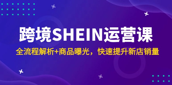 （14832期）跨境SHEIN运营课，全流程解析+商品曝光，快速提升新店销量-零界教育