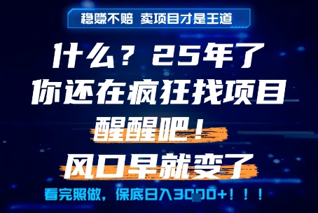 什么？25年你还在疯狂找项目做，醒醒吧，看完这些你全都懂了！【揭秘】-零界教育
