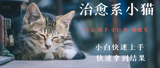 拆解，疯狂火爆！抖音，小红书，视频号小猫治愈的视频，轻松制作+快速拿到结果-零界教育
