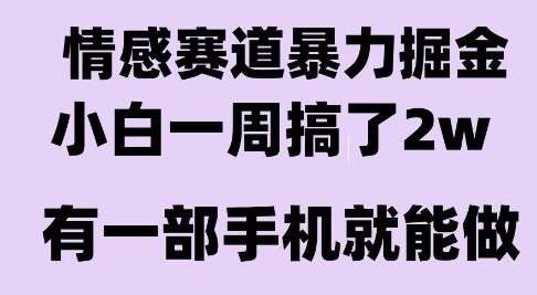 情感暴力掘金项目，新人操作一周挣了2W，长期稳定小白可做【揭秘】-零界教育
