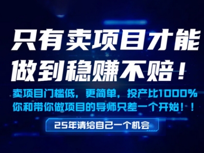 只有卖项目才能做到稳挣不赔，门槛低，更简单，你也可以年入百个W【揭秘】-零界教育