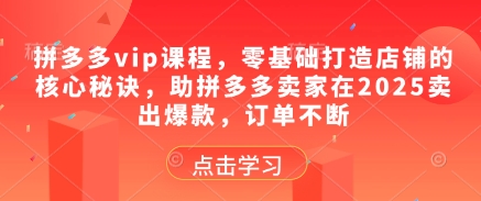 拼多多vip课程，零基础打造店铺的核心秘诀，助拼多多卖家在2025卖出爆款，订单不断-零界教育